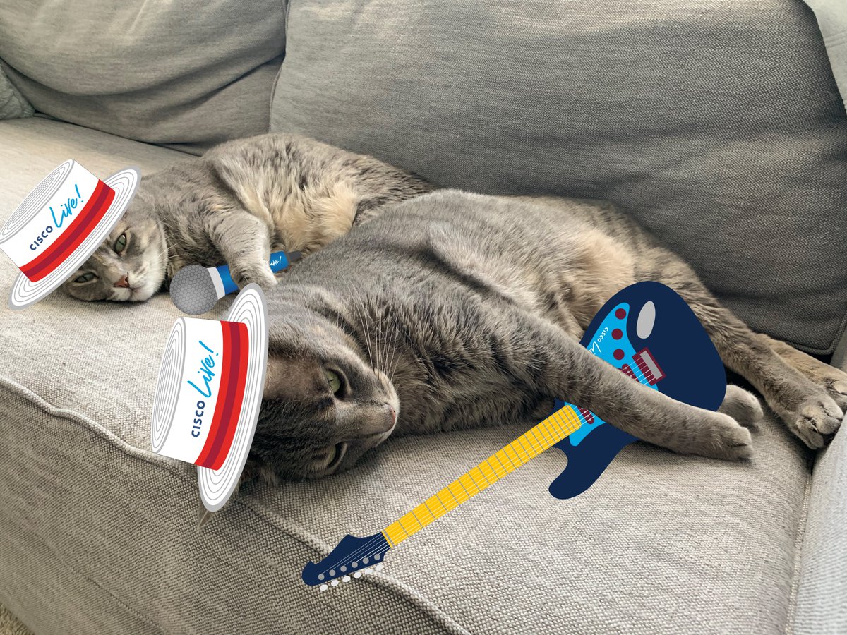 CiscoLive's tweet photo. @tanyareynolds @swanface7 I think there is a FURocious comPETition going on right meow with #dogsofCiscoLive and #catsofciscolive #CiscoLive ^LV @paulmc3 @mattouellette https://t.co/KPHpEqjKOQ