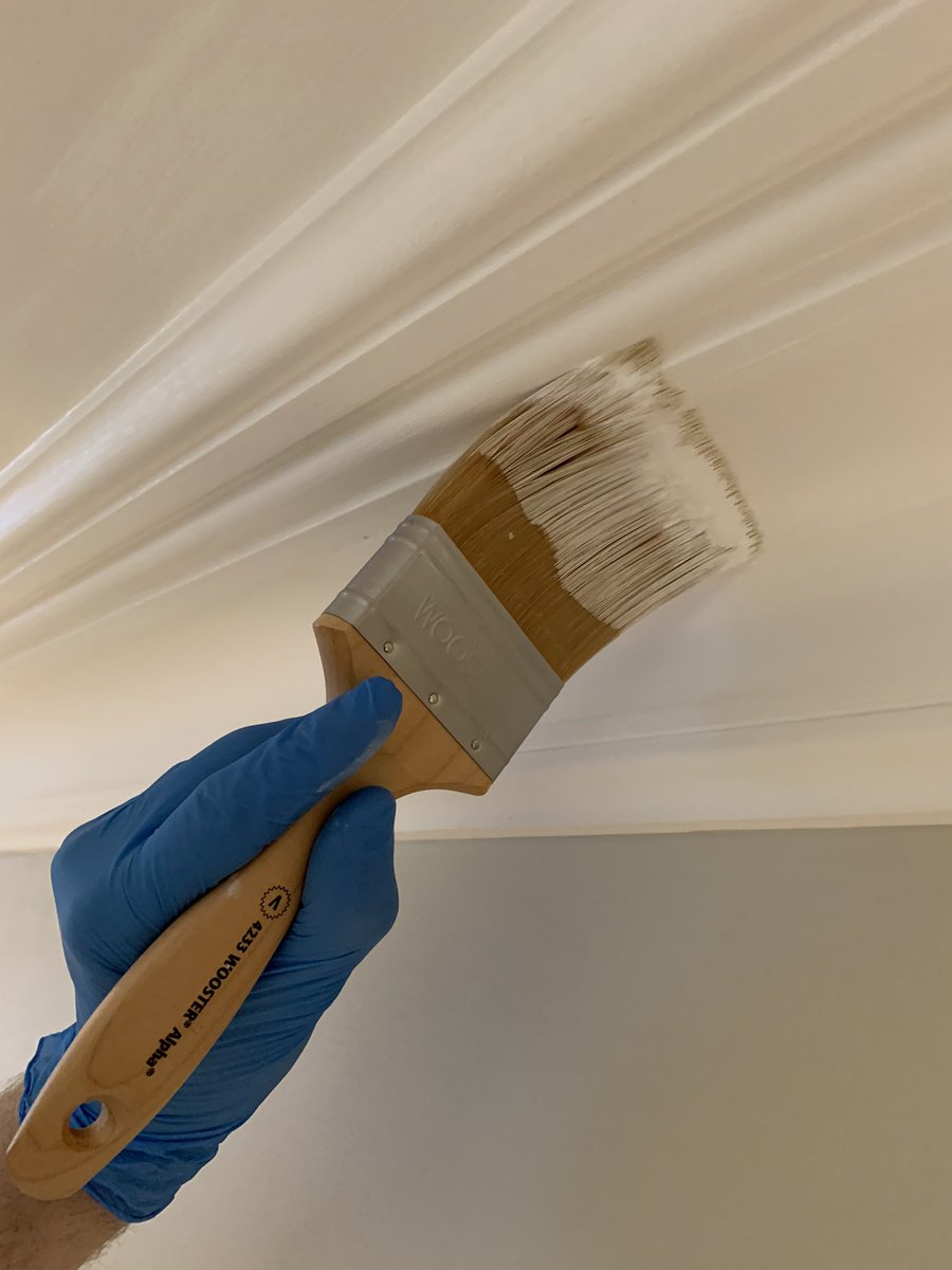 JGDecorator's tweet photo. Finally getting some paint on the go with @Woosterbrushuk #alphabrush and @Tikkurila_UK anti reflex 2 https://t.co/GQbVsEeLU2