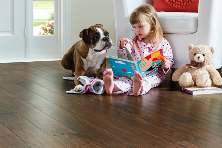 ArmstrongFloor's tweet photo. More than 6 in 10 of all U.S. households have a pet, but they can be tough on floors. Get pet protection and learn more here: 
https://t.co/clbadJQbMY 

#flooring #petfriendly #resilientfloors #familyfriendly #homeimprovement https://t.co/UNtS2FgcQU