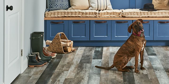 ArmstrongFloor's tweet photo. More than 6 in 10 of all U.S. households have a pet, but they can be tough on floors. Get pet protection and learn more here: 
https://t.co/clbadJQbMY 

#flooring #petfriendly #resilientfloors #familyfriendly #homeimprovement https://t.co/UNtS2FgcQU