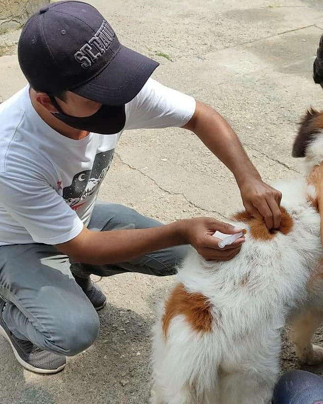 FNevadoCarabobo's tweet photo. 📆 24/03/2021

📍 NAGUANAGUA 

✅ Fue atendido canino raza Mucuchíes con lesión.🐕

💊💉 Se le indicó tratamiento para su pronta recuperación👊🐾

🐾🐶🐈👪

#LaCapacidadDeAmarEsInfinita
#Carabobo
#MisiónNevado
#24MARZO2021 https://t.co/9F8ExKen0E