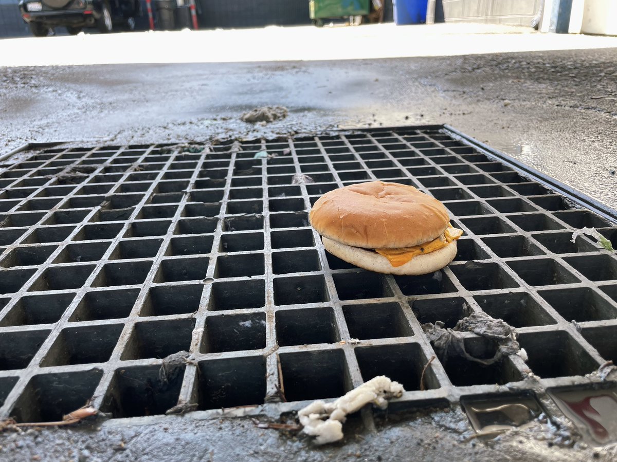 there is so much beauty in this world