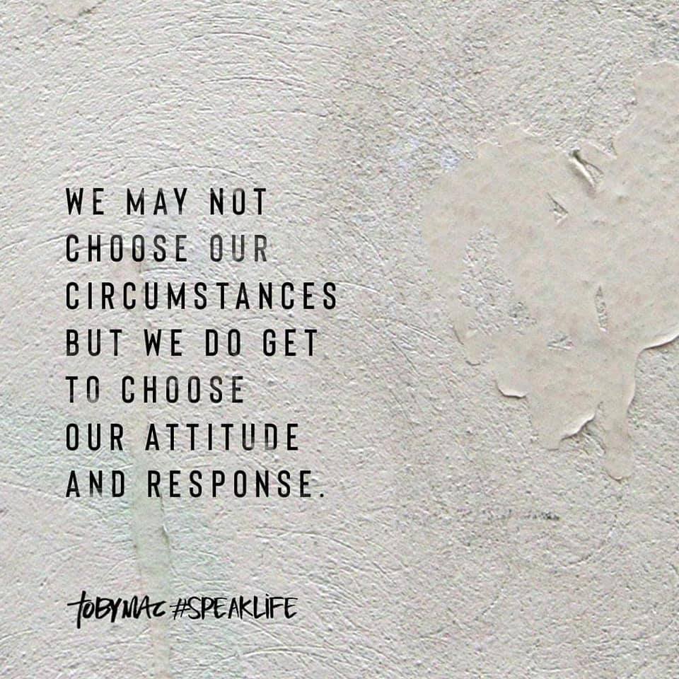 Babb Center tweet media