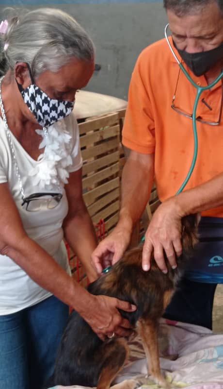 FNevadoCarabobo's tweet photo. 📍GUACARA
🐶 Canino adulto por Miasis
✅ Se le suministró Antibióticos y antinflamatorio.
🐶 Canino lesiones compatible a moquillo
✅ Tratamiento vitamínico y antinflamatorio.
🐶 Canina comunitaria se trató contra lesión respiratoria 

#LaCapacidadDeAmarEsInfinita
#MisiónNevado https://t.co/IwiXl1eGeh