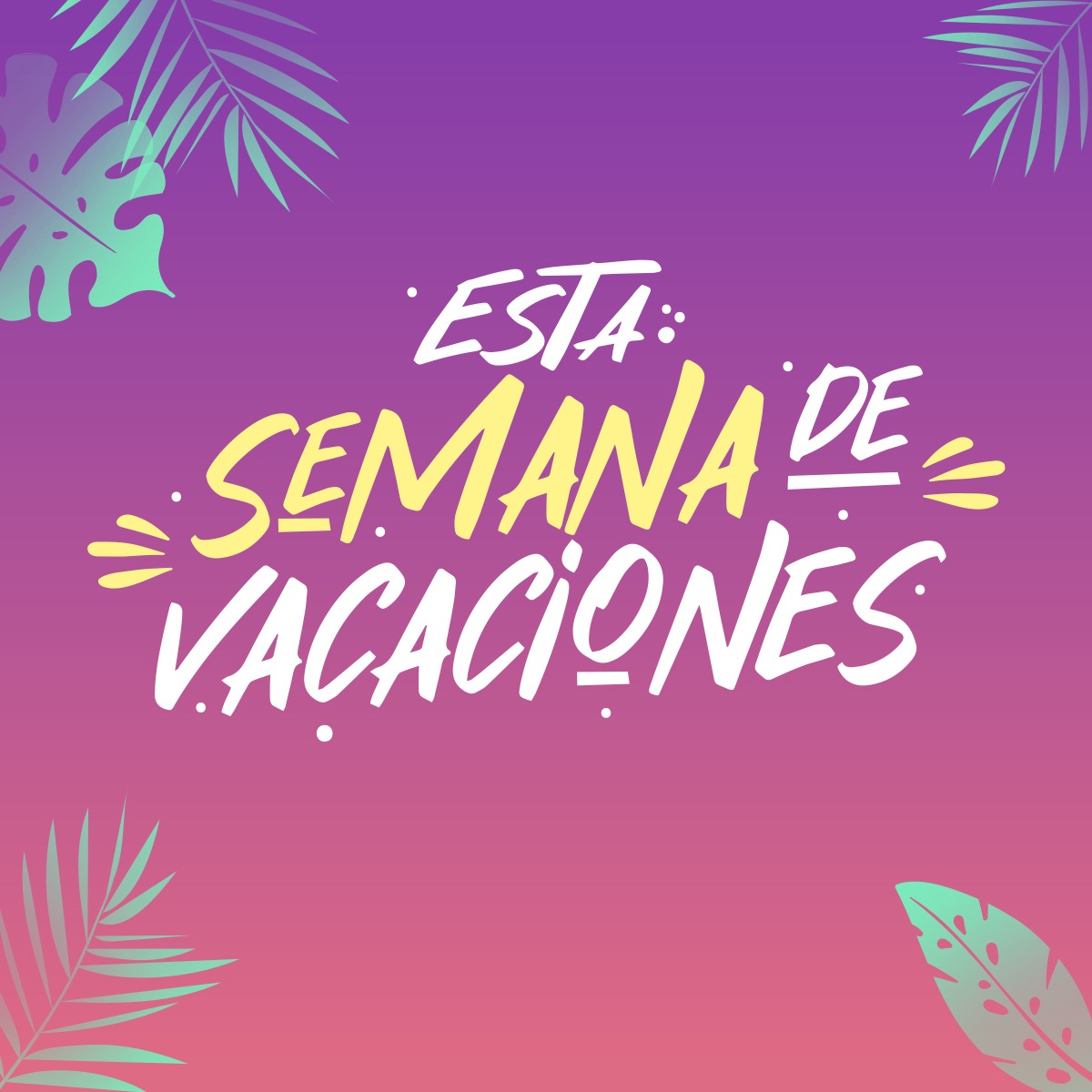 MerqueoCol's tweet image. ¡En tu semana de vacaciones no dejas de ahorrar👏! Salud por eso y por los días de descanso🍻
Aprovecha el 20% OFF 🛒en referencias seleccionadas para celebrar que las vacaciones están de vuelta 🥳 Descarga la app o pide en línea 📲