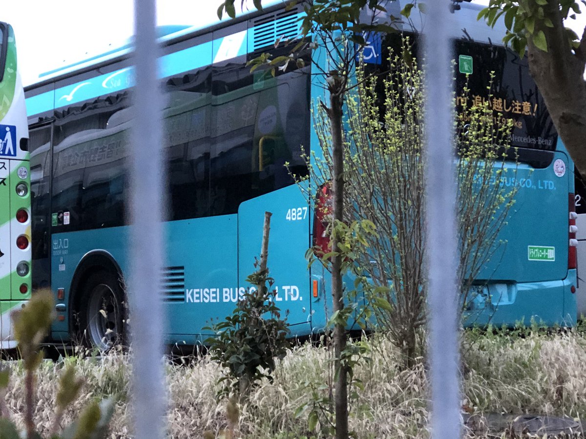 つーやん 京成バス シターロ 47号車のナンバープレートが 外されていました 45号車に続いて除籍になったと思われます 京成バス