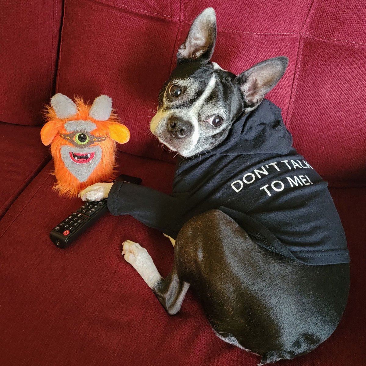 BossyBostons's tweet photo. Remote control guard dog 📺🎭 #themaskedsinger #GrandpaMonsterMask https://t.co/sZ1u0T8uCf