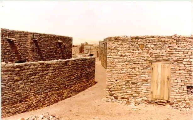 AfroRootsDNA's tweet photo. West Africans built in stone by 1100 BC. Evidence In Tichitt-Walata region of Mauritania shows “large stone masonry villages” that date back to 1100 BC consisted of roughly circular compounds connected by “well-defined streets” found by Archeologist https://t.co/YGaGIHdTTk