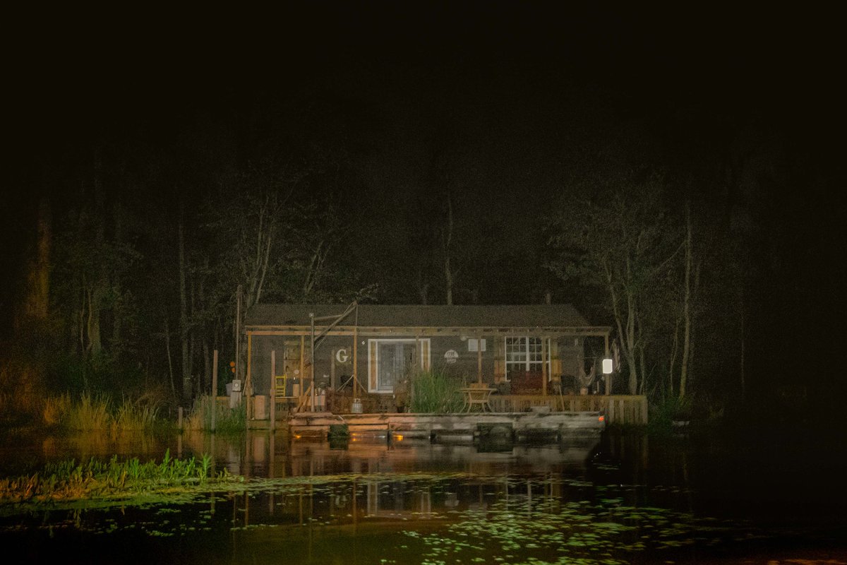 briscoepark's tweet photo. Photos I took in the swamp https://t.co/BtpXHn98FF