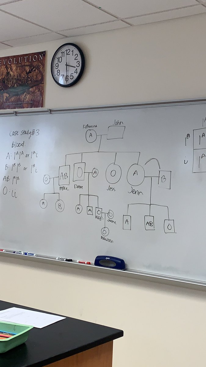 #106Week10MVS21 <a href="/mckennavininski/">McKenna Vininski (she/her)</a> the pedigree was fun but a helpful hint is in the paragraph where it tells you maureens parents have the same blood Type!
