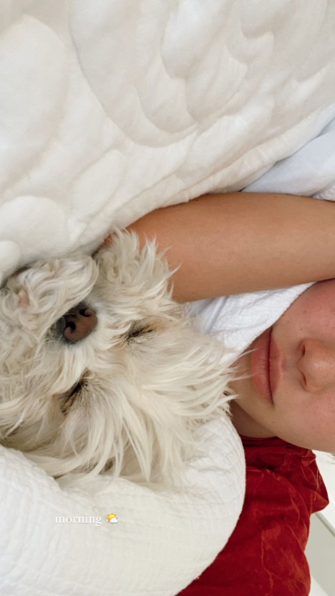 <a href="/xMeryWilliams/">——off</a> hecho de menos cuando tu y Godzi, invadiais mi cama, a por mimos.