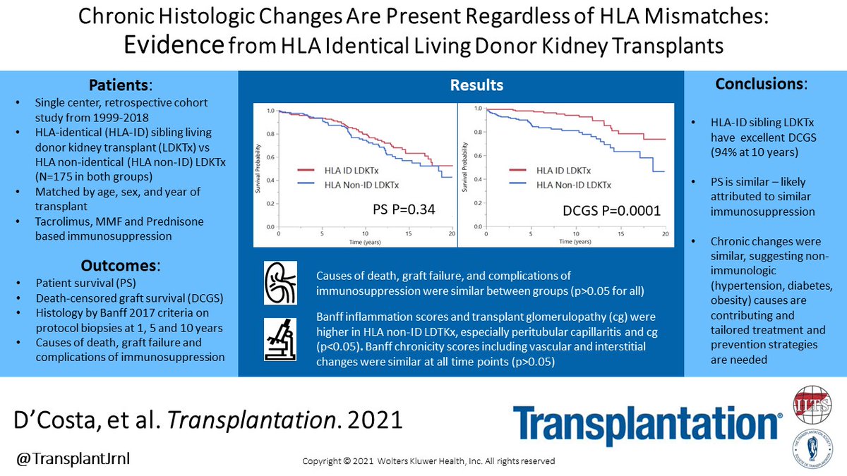 TransplantJrnl's tweet photo. Check out this paper by @matthewdcostaMD et al. to learn more about chronic histologic changes that may occur post kidney transplantation and how HLA mismatches evidence from HLA identical living donor kidney transplants. #VisualAbstract https://t.co/4r7uR4Bwyp https://t.co/wWL6JPucz8