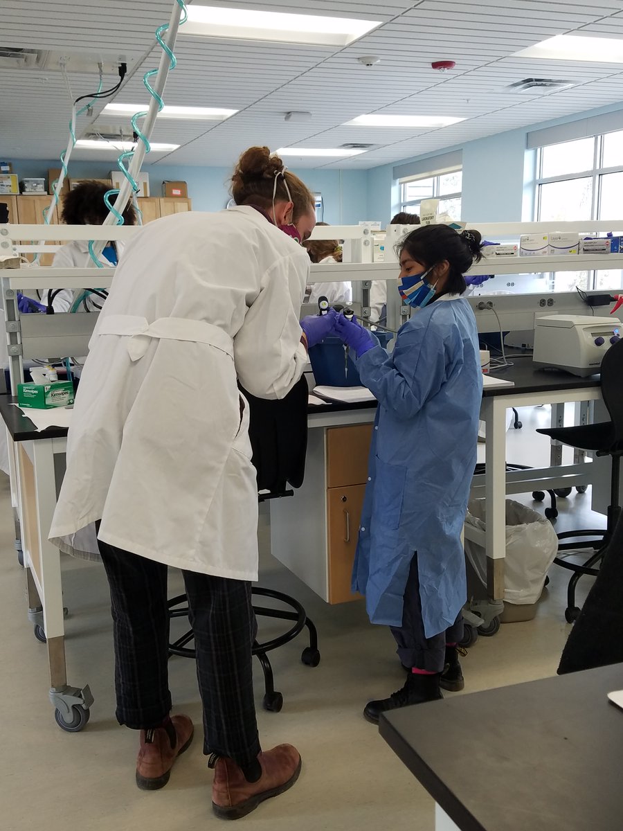 MDIBL's tweet photo. What a pleasure to welcome COA students to our campus last week for the first in person #MaineINBRE course in a year! They used both bench techniques and computational approaches to study the biology of aging. #collegeoftheatlantic #NIGMS https://t.co/9h6fAihnGr