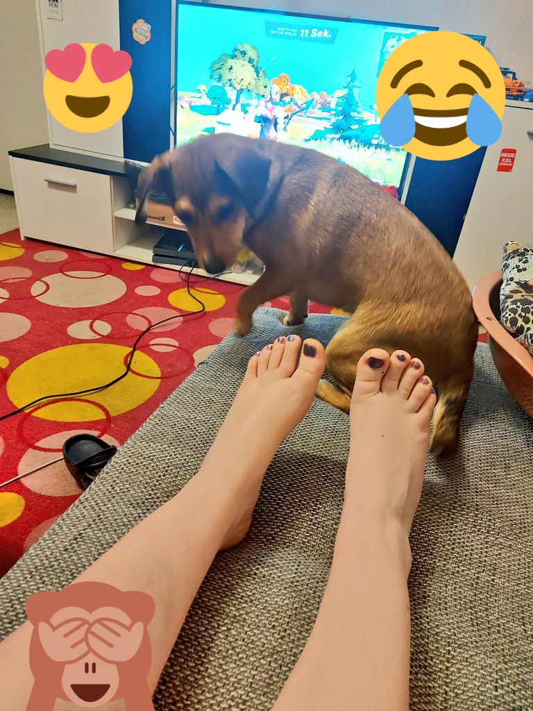 SakutaShimizu's tweet photo. #Shila #scheint #Angst vor #Killer #Füßen zu #haben😄🤣 #chill grad und #erstmal #Fortnite #suchten,hab es #echt #vernachlässigt das #Game,auch #euch habe ich #auch #vernachlässigt😔😭 es tut mir so leid,das #streamen zur #Zeit durch #Ausfall der #Konsole #nicht #geht😔 https://t.co/7KM2m7ug53