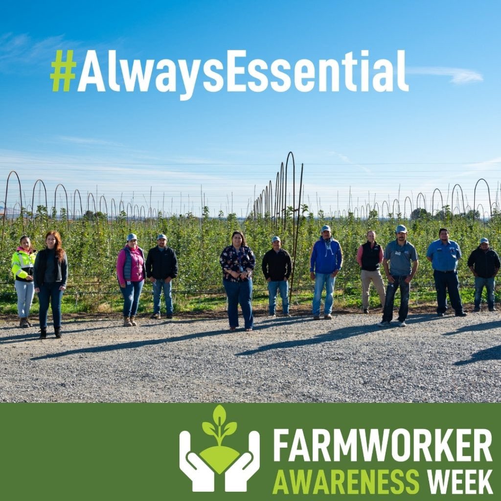 SenatorBorgeas's tweet photo. As we commemorate the life of Cesar Chavez today, we celebrate and thank California farmworkers. Farmworkers provide fresh and healthy food for our communities and are #AlwaysEssential. 

#CesarChavezDay #NationalFarmworkerAwarenessWeek https://t.co/LdxA09HbTa