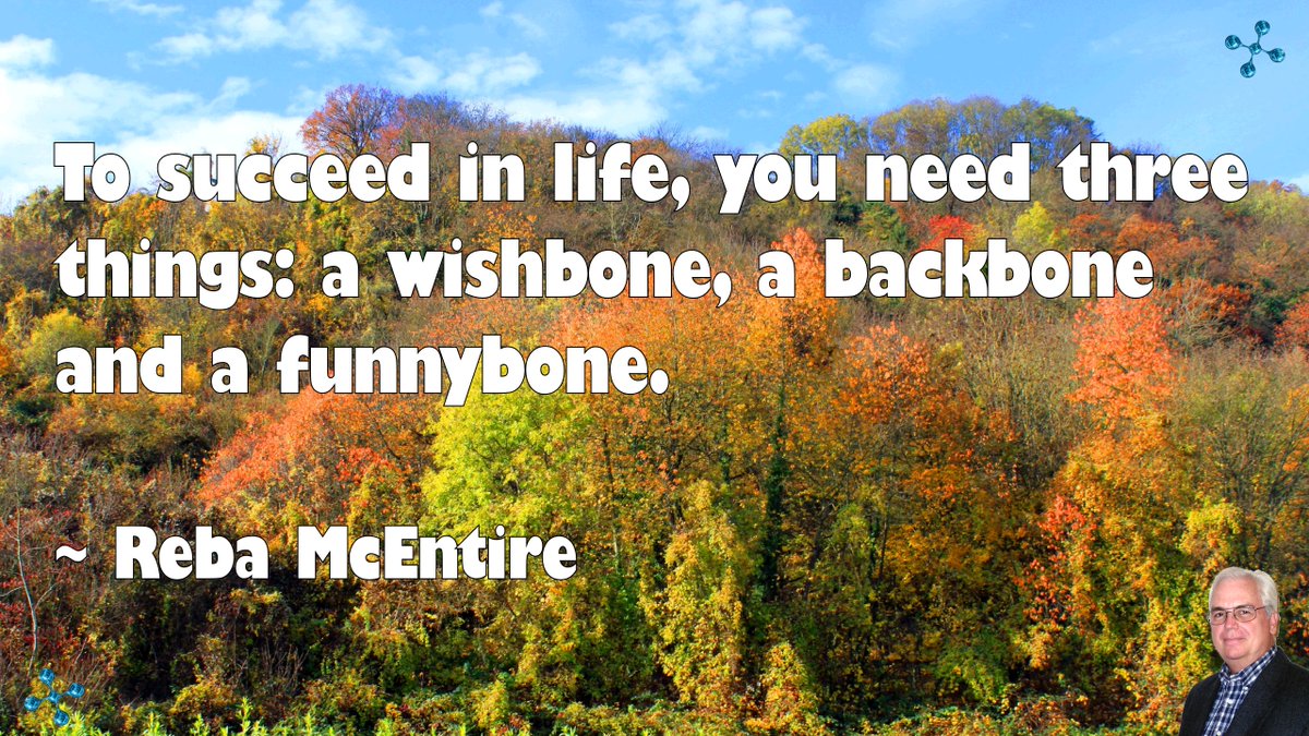 To succeed in life, you need three things: a wishbone, a backbone and a funnybone.

~ Reba McEntire
#quote #success