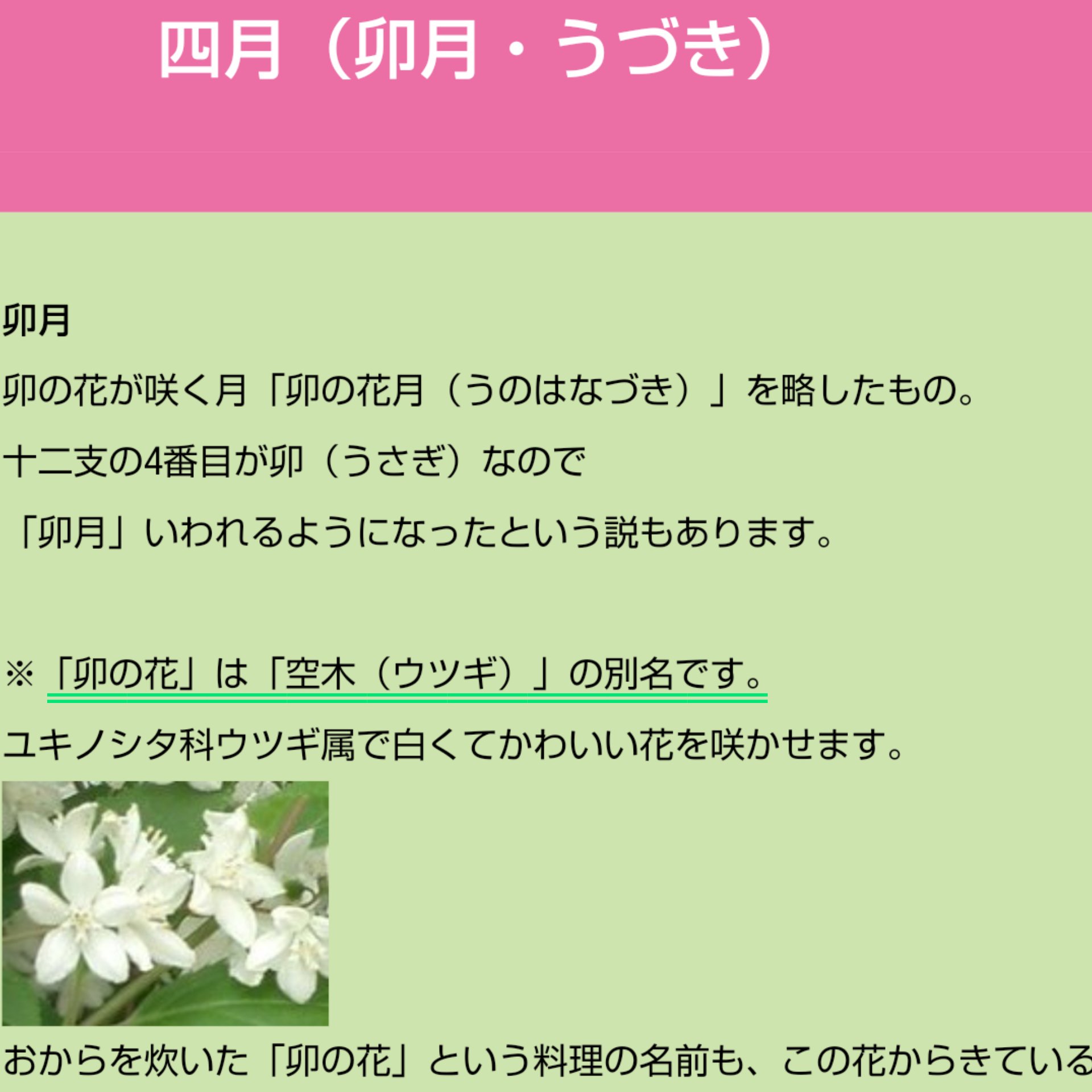 Tochi ᴗ おはようございます ４月 卯月 うづき 卯の花の咲く頃 卯の花 空木 ｳﾂｷﾞの花 卯の花は おから料理 大豆 ね 花も違う 理由が 分かりました ４月も 宜しくお願いします ヽ ﾟ フォトは