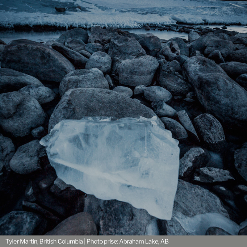 UKinCanada's tweet photo. Après avoir examiné 100+ soumissions provenant de partout au 🇨🇦, nos juges ont été très émus par ces histoires sur le climat 🌱
Félicitations à nos incroyables gagnants du concours #CapturingClimate 🥳
Pour voir les photos: https://t.co/fmXEhD0IGL