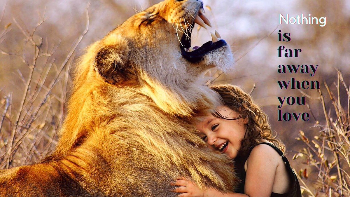 MusicTherapyON's tweet photo. Nothing is far away when you love

# https://t.co/rj0LrsY5X1
#NatureQuotes #AnimalsThatLoveHumans
#MusicTherapyPictures https://t.co/xB1faP7YaV