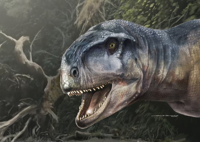 Neuquén: Científicos identificaron fósiles de una una nueva especie de  dinosaurio