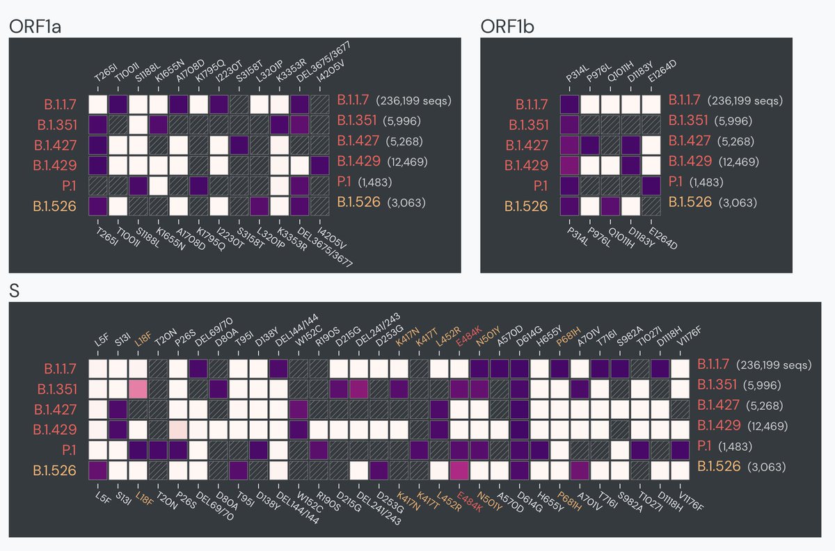 Eric Topol And Very Good Mutation Maps Scrippsresearch For These 3 Variants And Ny B 1 526 California B 1 427 B 1 429 T Co Bujwmd8v1t H T K G Andersen T Co 4rxdie14ea