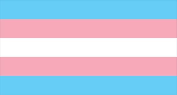Pixelnwbr's tweet photo. A Pixel Network Brasil apoia os direitos trans e não-bináries! Convidamos a todes que querem fazer parte desse projeto pela igualdade!
Direitos Trans são Direitos Humanos! 

#TransDayOfVisibility #DiaDaVisibilidadeTrans
#TransRightsAreHumanRights #DireitosTransSaoDireitosHumanos https://t.co/FBqEzdQyOk