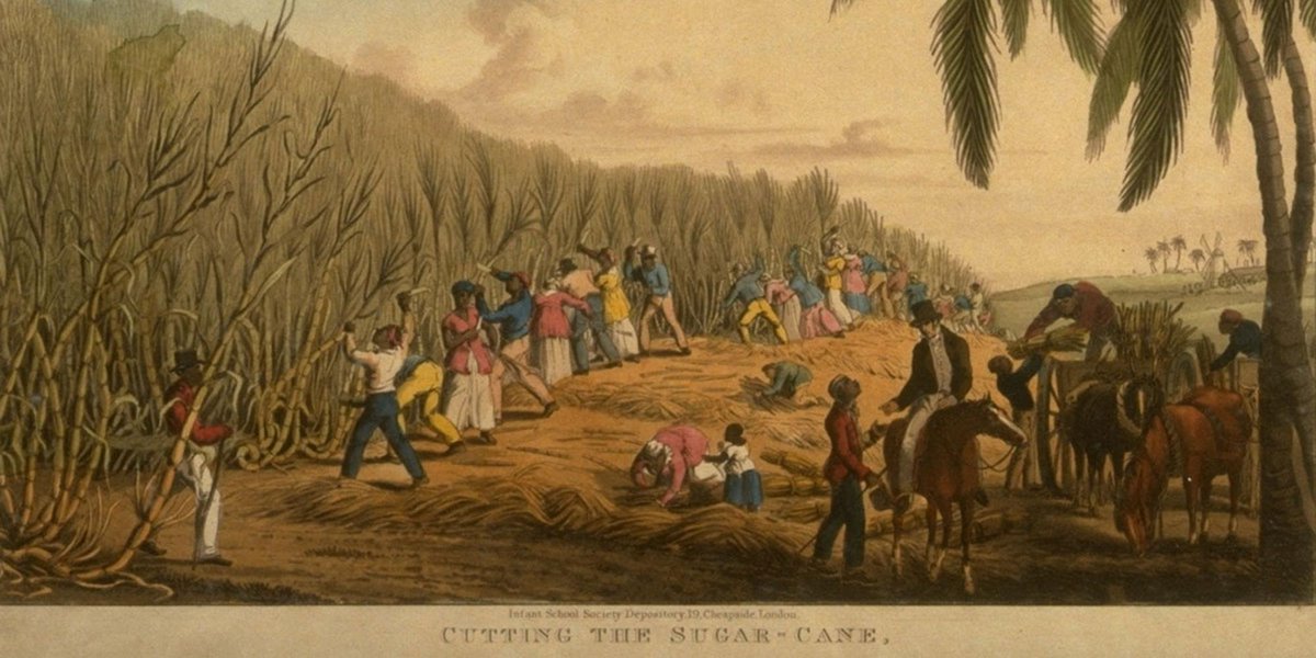 to start, the British holdings in the Caribbean were focused on trade, as well as brutal agricultural production using slaves to grow cash crops like sugar. roughly 3 million slaves were brought over