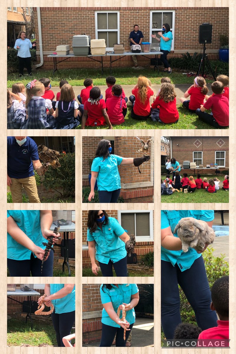 Thank you <a href="/EnvirStudiesCen/">Environmental Center</a> and <a href="/MaryBAustinPTA/">Mary B. Austin PTA</a>! This morning was amazing!! <a href="/MaryBAustin/">Mary B. Austin Elementary</a> <a href="/MobilePublicSch/">MobilePublicSchools</a>  🦎 🦅 🐇