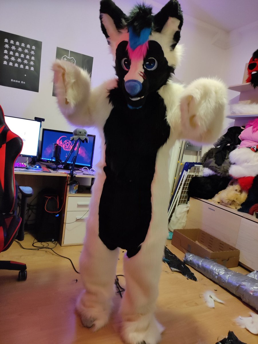 That feeling when customer is 2 meters tall and you are only 160...

ANYWAY 
Bodysuit is finished ! All in one day ! Nice and floofy perfect to hug.
Feetpaws and tail are gonna be finished  soon as well

#furry #fursuit #fursuitmaker