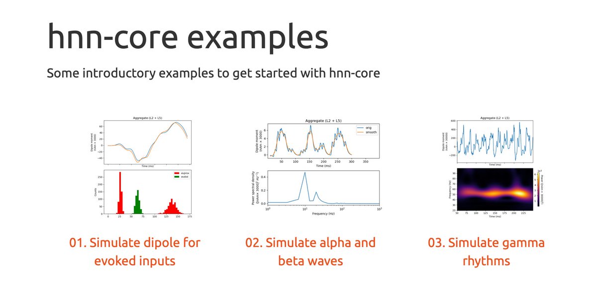 Human Neocortical Neurosolver tweet media