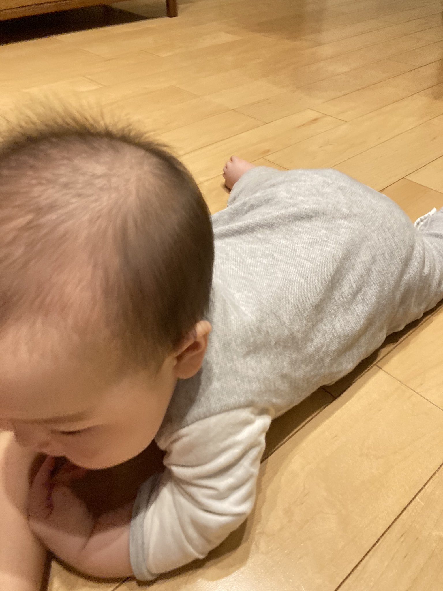 あーうー Twitter Search Twitter
