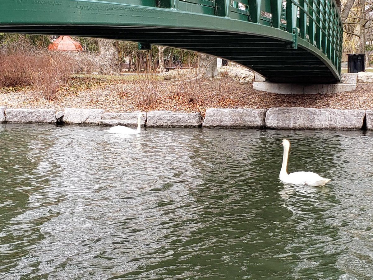 City of Kitchener tweet media