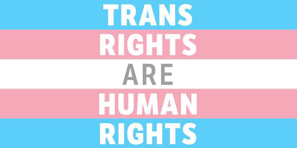 TheZombiUnicorn's tweet image. -trans rights are human rights
-protect trans youth
-trans women are real women
-trans men are real men
-there are more than two genders and that does not negatively impact you in any way
#tdov