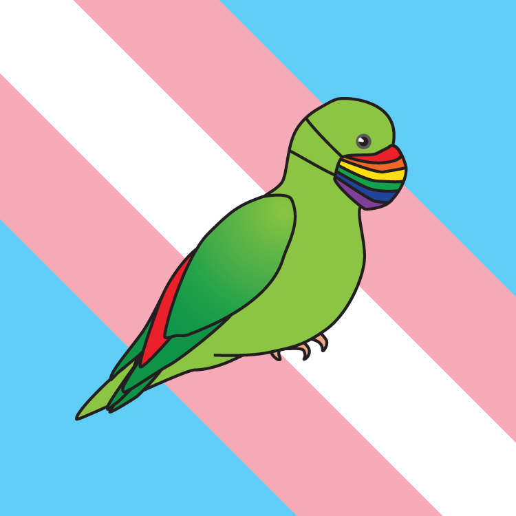 ByrdBeaks's tweet photo. We have a new profile pic for #TransDayOfVisibility!
(We actually made two versions we loved!)
ByrdBeaks is proud to be a trans owned and operated business. Today we're sending love to all our trans siblings, whether or not you are able or ready to be visible #TDOV https://t.co/YX279VOHVD