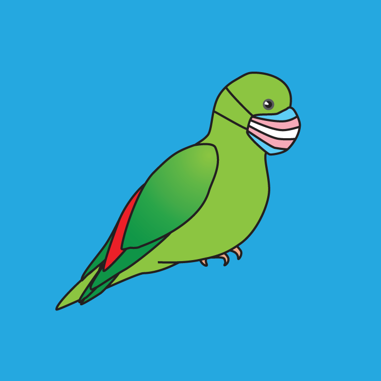 ByrdBeaks's tweet photo. We have a new profile pic for #TransDayOfVisibility!
(We actually made two versions we loved!)
ByrdBeaks is proud to be a trans owned and operated business. Today we're sending love to all our trans siblings, whether or not you are able or ready to be visible #TDOV https://t.co/YX279VOHVD