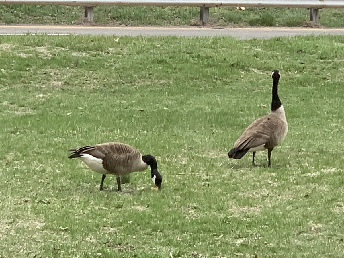 Omg spontaneously going out for a walk was (in hobi’s voice) “the BEST DECISION EVER!” 