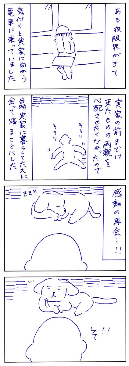 犬との思い出 