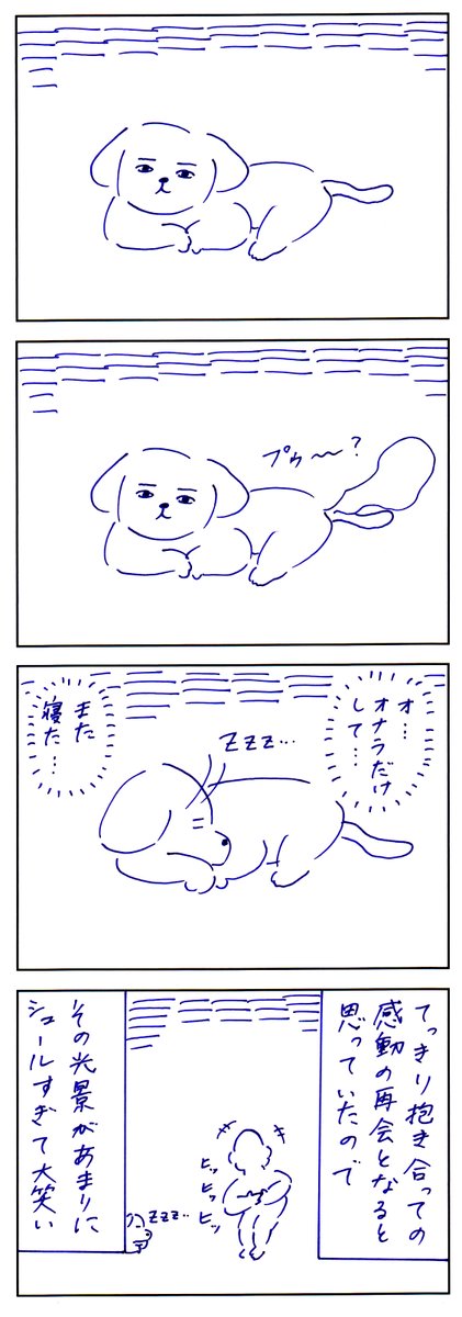 犬との思い出 