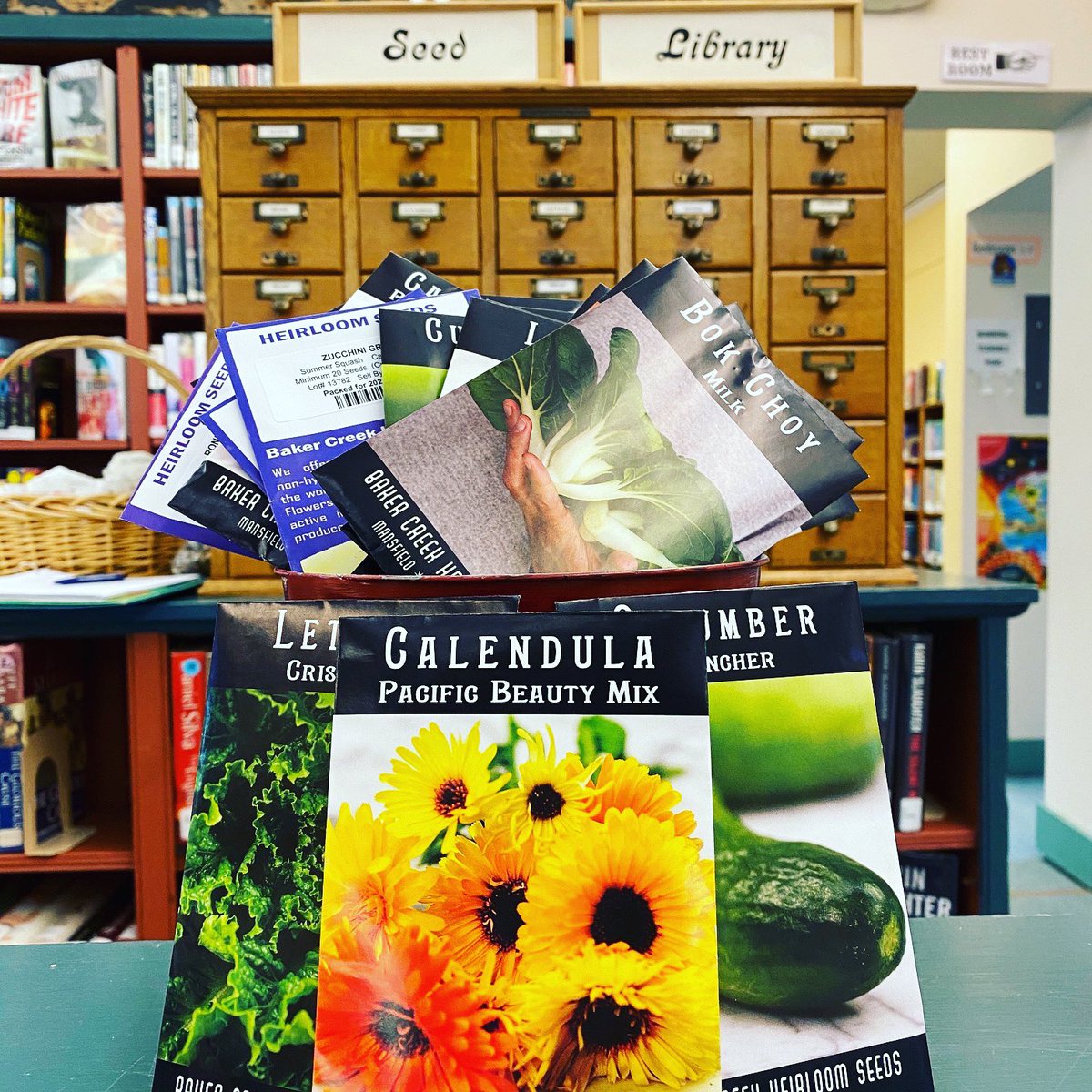 BrandonLibrary's tweet image. A big thanks to @rareseeds Baker Creek Heirloom Seed Co for donating to our seed catalog! Now in- zinnias, marigolds, calendula, lettuce,  cubes, green onions, bok choy, yellow squash, zucchini, more! Start your seedlings! #brandonlibrary #brandonvt #vermontgrown