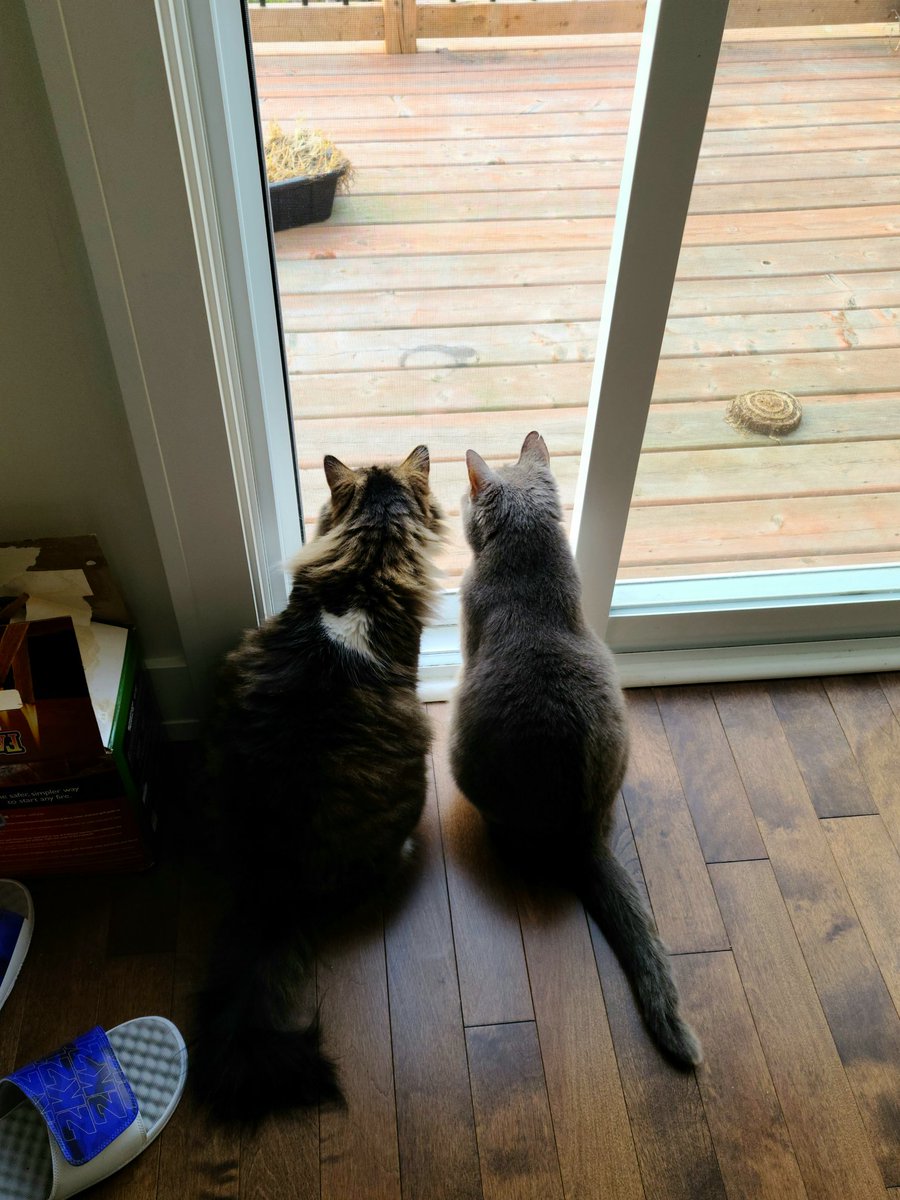 Friends 🥰