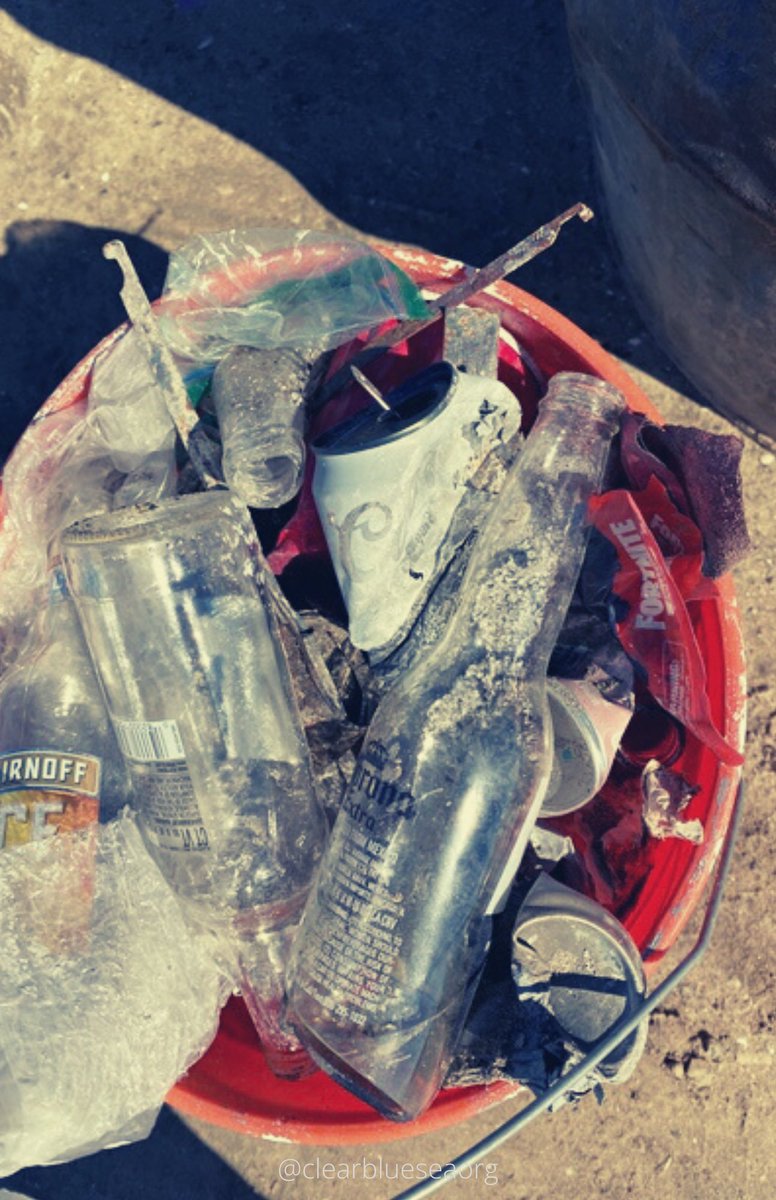 Here is a peak at some of the trash our sustainability picked up during their monthly beach cleanup! 🌊😄

#ClearBlueSea #CBSea #OceanConservation #OceanConservancy #plasticpollution #sustainability #SaveOurOceans #Recycle #SaveOurSeas #ecofriendly #PlasticFree #SanDiego #beach