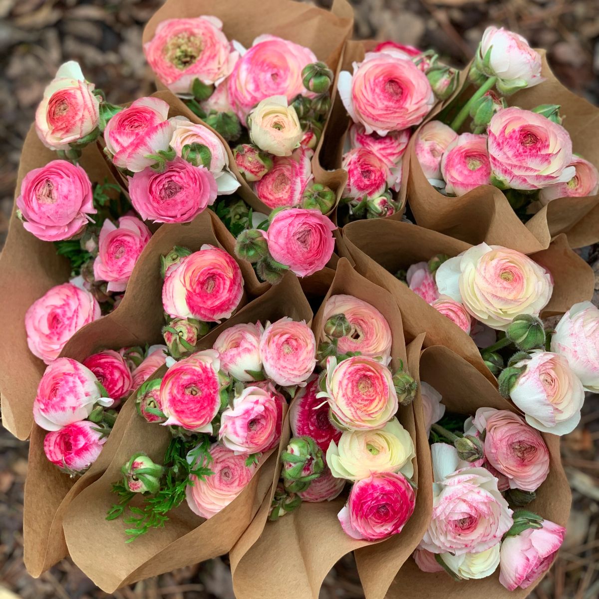 SDFarmersMarket's tweet photo. Pre-Orders are Opening for the 4/3/21 Market!! 🌷 Welcome to our new and returning vendors!!! 🌷 - https://t.co/rjUQlU5Upw https://t.co/428B5J2dQ1