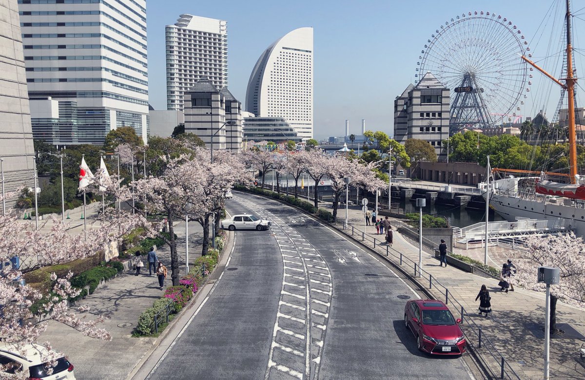 東京のおばあちゃん Tokyo Obaachan Twitter