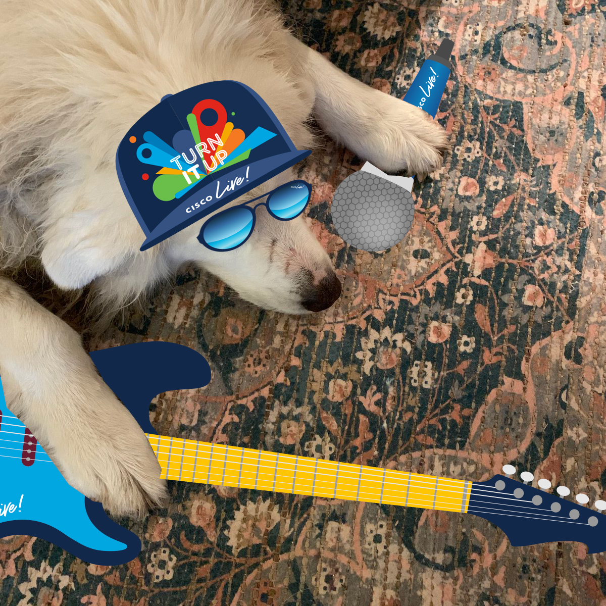 CiscoLive's tweet photo. @chicklitter Also clearly ready to TURN IT UP! #CiscoLive #DogsofCiscoLive ^LV https://t.co/gZ1gwtfBMP
