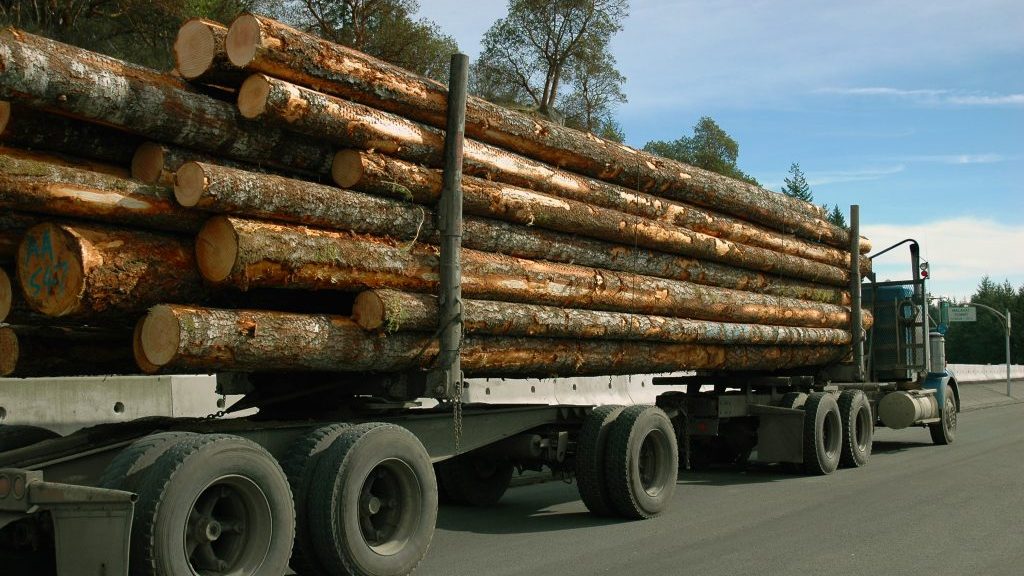 ConstructConnx's tweet photo. Commodity prices reach ‘extraordinary’ levels, with lumber rising to new heights. https://t.co/eu20smhAco / @DCN_Canada
#MaterialCost #ConstructionMaterials #manufacturing #construction https://t.co/qQmytp8yRk