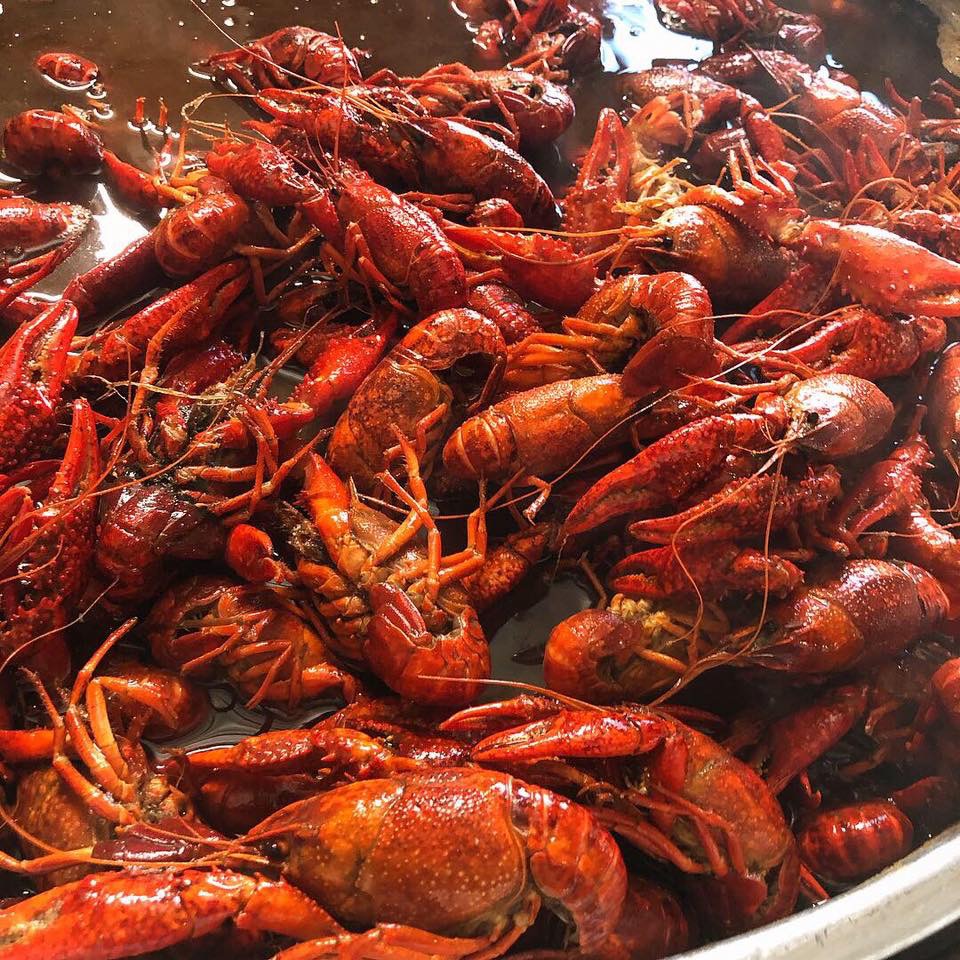 Are you craving some delicious crawfish??? Now you are!! Y’all stop by today for a few lbs and some cold beer!! #crawfish #shrimp #crablegs #bbq #bbqribs #pulledpork #beer #craftbeer #dinner #greatfood #goodtimes #livemusic