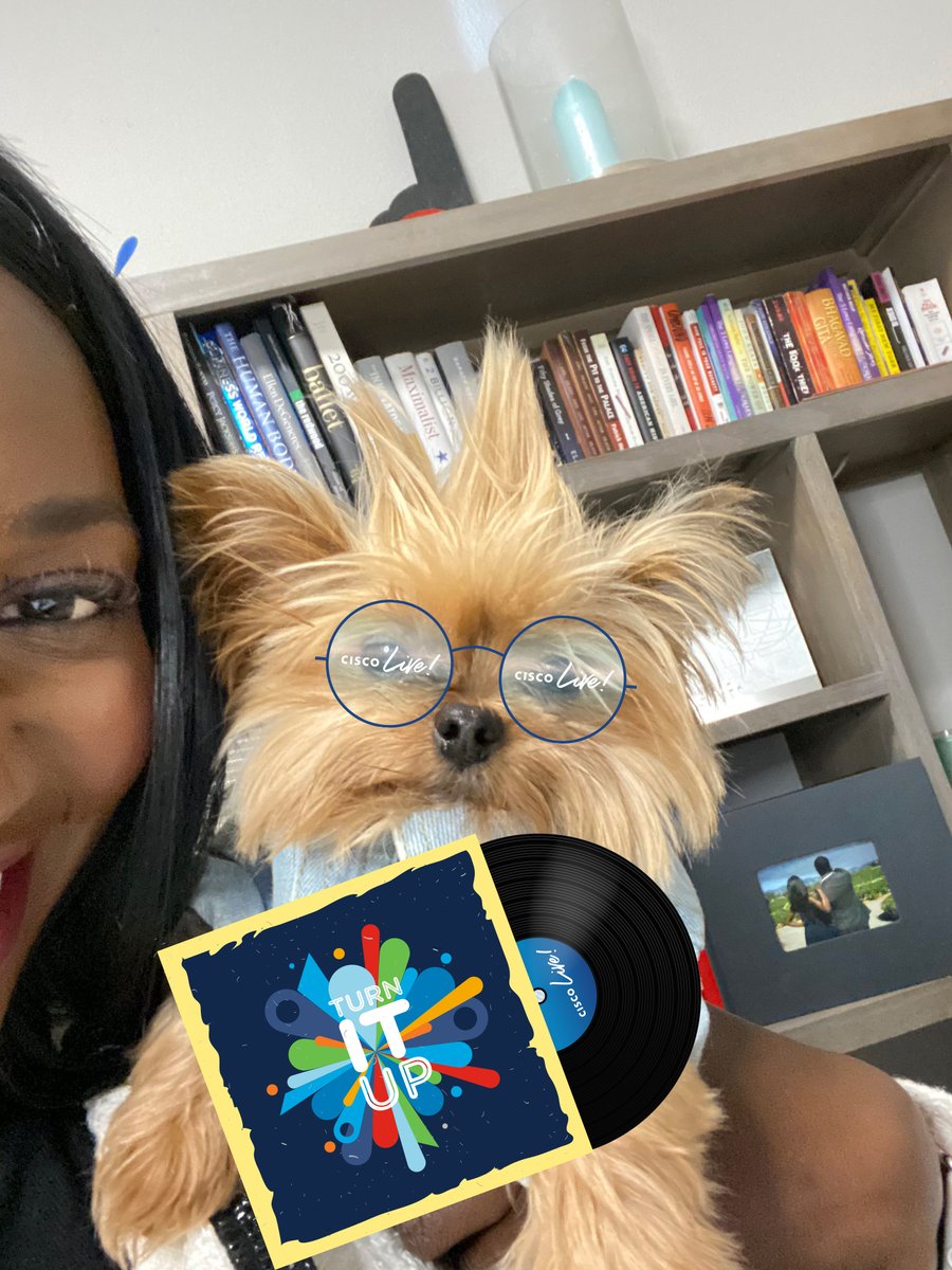 CiscoLive's tweet photo. @EstherAAyorinde Pretty sure Carrie would say specs are so in right now! #CiscoLive #DogsofCiscoLive  ^LV https://t.co/W3A06LwAIW