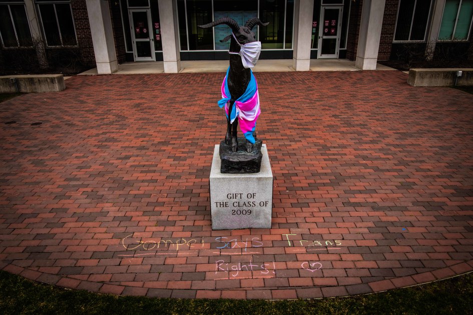 WPI's tweet photo. Today we honor and celebrate transgender and nonbinary people around the world. #TransDayOfVisibility https://t.co/HYWPh5Zt9j