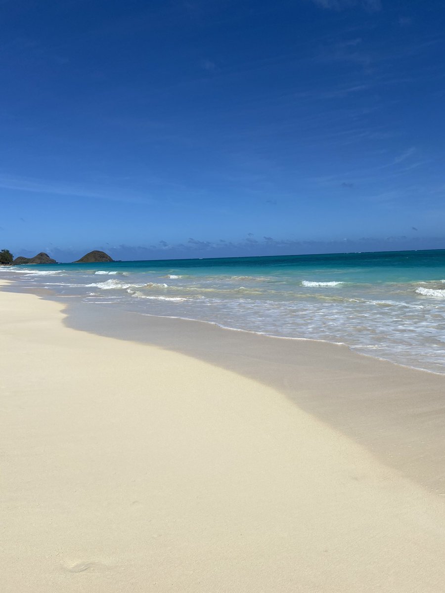 mcarney__'s tweet photo. @ds106dc This rainy day makes me want to lay on the beach in the sun in hawaiii. 
#ds106 #dailycreate #tdc3366 https://t.co/BFBrhUxzoX