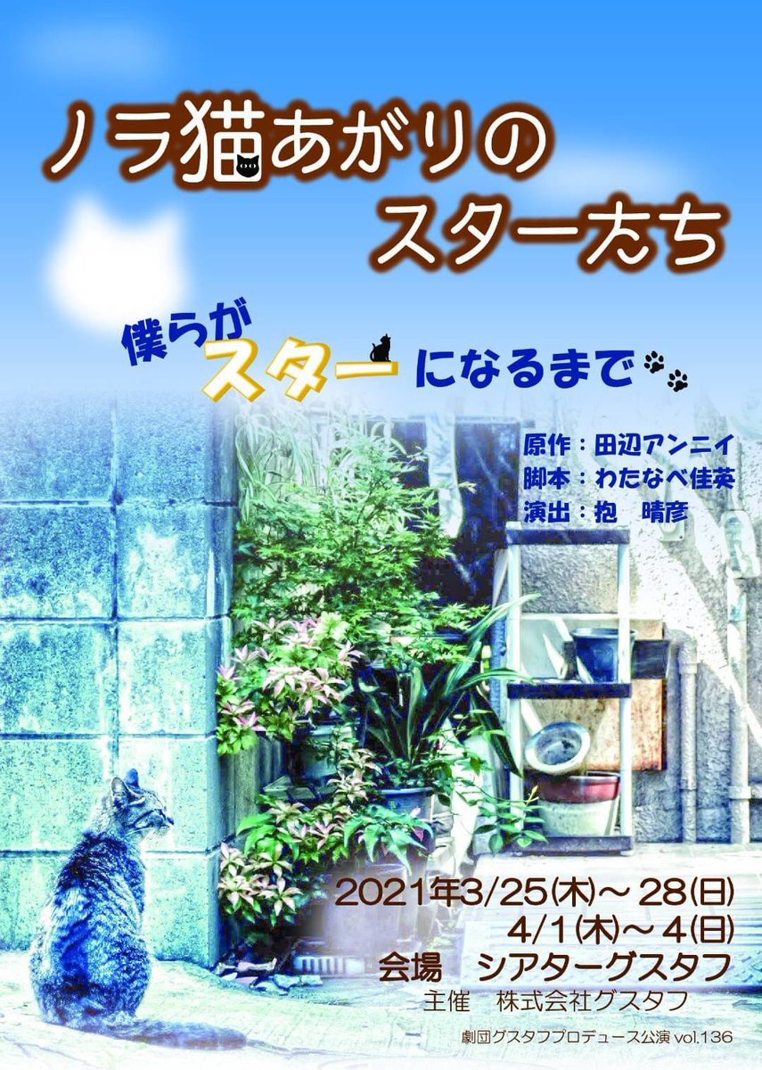 erina_2k's tweet photo. よっしゃ！
 #ノラ猫上がりのスターたち
稽古に行ってきます☆

昨日はマッサージに行ってきました⊂(　  っ*´ω`*)っ
ストレッチのポイントも聞いたので、試してみよう！

人生初の猫ですよ～🐈
4/3、4/4 どちらも夜の回は余裕があるので、ぜひ観に来てください♪

https://t.co/2uIGlqSjOS https://t.co/HO7FzyELdL